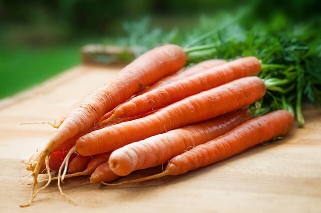 agriculture-carrots