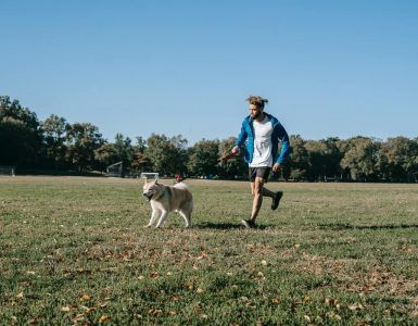 The Benefits of Exercising with Your Dog benefits of exercising with your dog