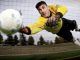 How to Choose the Perfect Goalie Gloves?
