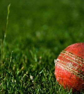 Know About Cricket