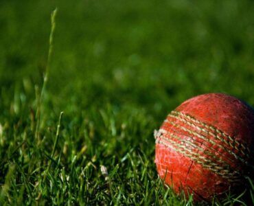 Know About Cricket