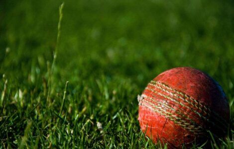 Know About Cricket