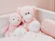 Guide to Storing Cuddly Toys