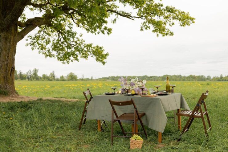 Garden Summer-Ready with Rattan Furniture