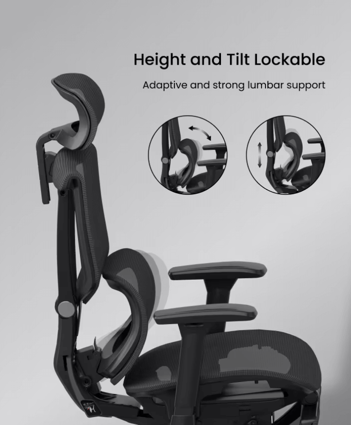 C7: All-Day Feel-Good Support from an Ergonomic Chair
