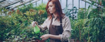10 Easy Garden Ideas That Look Stunning