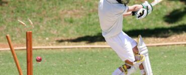 Cricket for beginners
