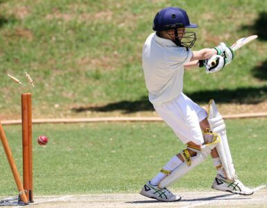 Cricket for beginners