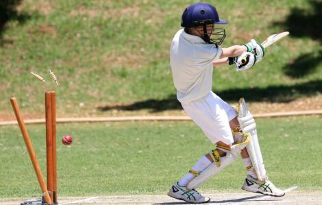 Cricket for beginners