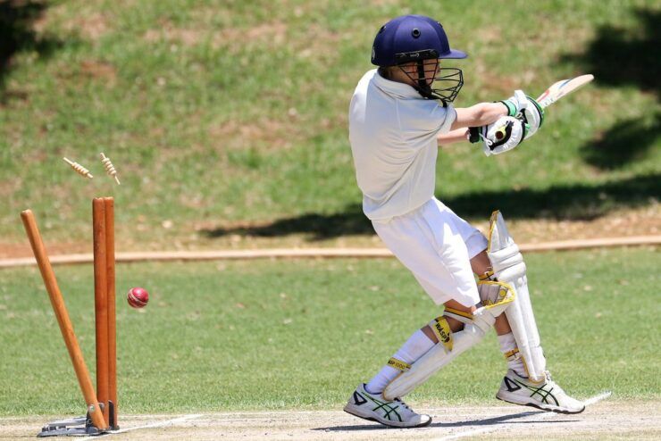 Cricket for beginners